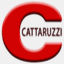 cattaruzzi.com