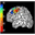 neuropotential.org