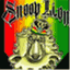 snooplion.wordpress.com