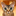 devon-rex.pl