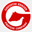 gooshtin.com