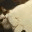 topcatsoftheweb.wordpress.com