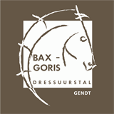 dressuurstalbax-goris.nl