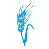 prasadpillai.com