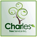 charlestreeservice.com