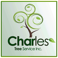 charlestreeservice.com