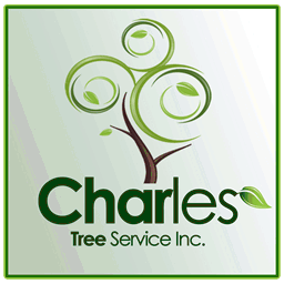charlestreeservice.com