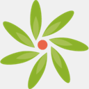 ingrijireaplantelor.gradinamea.ro