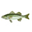 seabass-diary.net