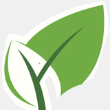 buygreenstore.com
