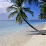 indianapoliscollege.com