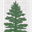 pinebrotherspinenuts.com