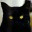 blackcatmendoza.net