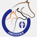 ortovet.com.gt