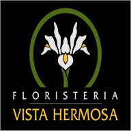 floristeriavistahermosa.com.mx