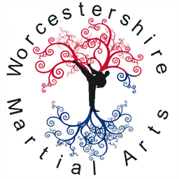 worcestershiremartialarts.co.uk