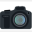 olligraphy.com