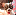 chihuahuagoodies.co.za