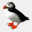 puffinracing.com