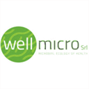 wellmicro.com