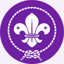 1sthednesfordscouts.co.uk