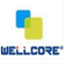 wellcore10.wordpress.com