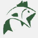 greenfishbr.com