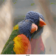 foto.photo.over-blog.com