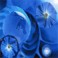 jerryguidry.com
