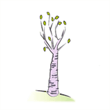 brevardweddingdirectory.com