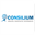 theconsilium.in