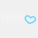 electriwize.com