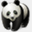 thepandahaus.com