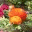 jignesh2882.wordpress.com