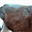 bearscrest.tumblr.com