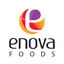enovafoods.com.br