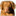 toller-os.de