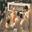 medstudinfo.over-blog.com