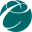 ccozi.com