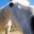 getawhiffofthis.wordpress.com