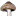 naturalmushrooms.com