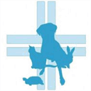 clinicaveterinarialuratecaccivio.com