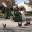mcgeefamilyranch.wordpress.com