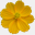 cedarhouseflowers.com