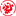 shineroad.com