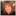 jackysteewelt.de