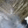 canyonfirebugs.wordpress.com