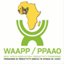 waapp-guinee.org