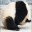 pandasana.wordpress.com