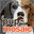 pupmosaic.com